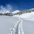 Post vom 11.01.2026 17:28 - Winterimpressionen aus Leogang